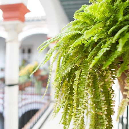 Alohamundi Alfalfa Seville Ngoại thất bức ảnh