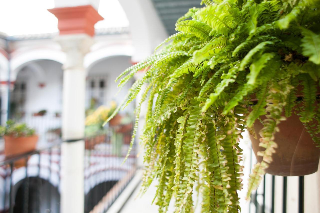 Alohamundi Alfalfa Seville Ngoại thất bức ảnh