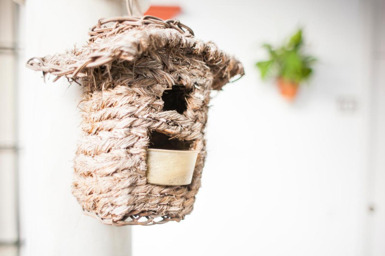 Alohamundi Alfalfa Seville Ngoại thất bức ảnh
